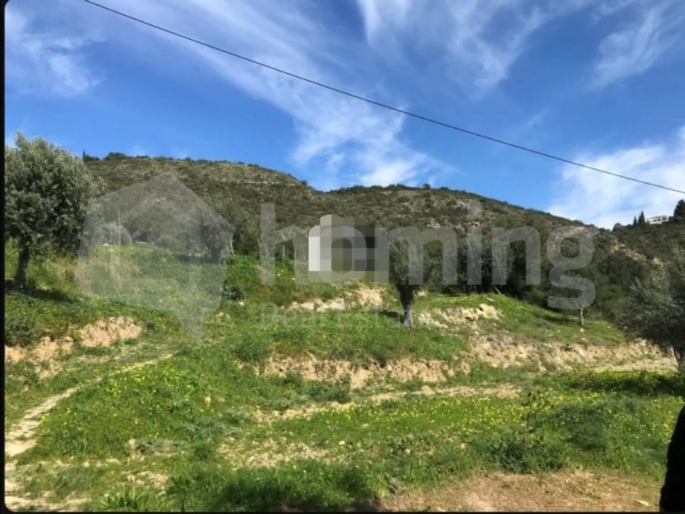 Helårsgrund i Conceicao e Estoi, Faro - foto 2
