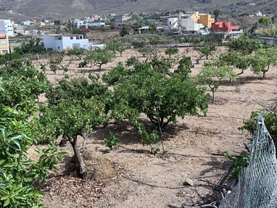 Helårsgrund i Valle De San Lorenzo, Tenerife - foto 1