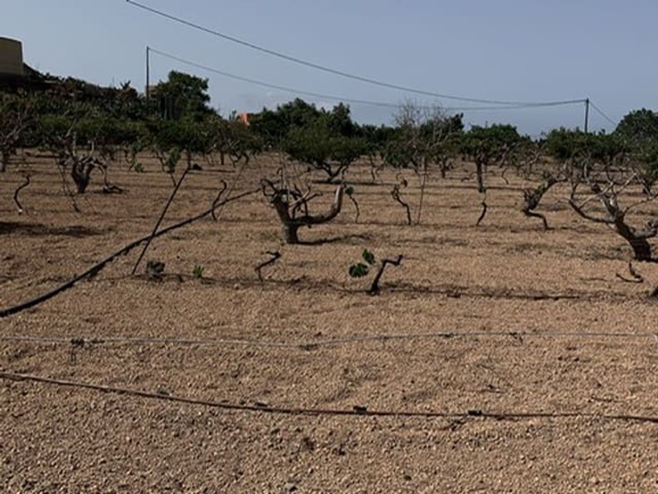 Helårsgrund i Valle De San Lorenzo, Tenerife - foto 2