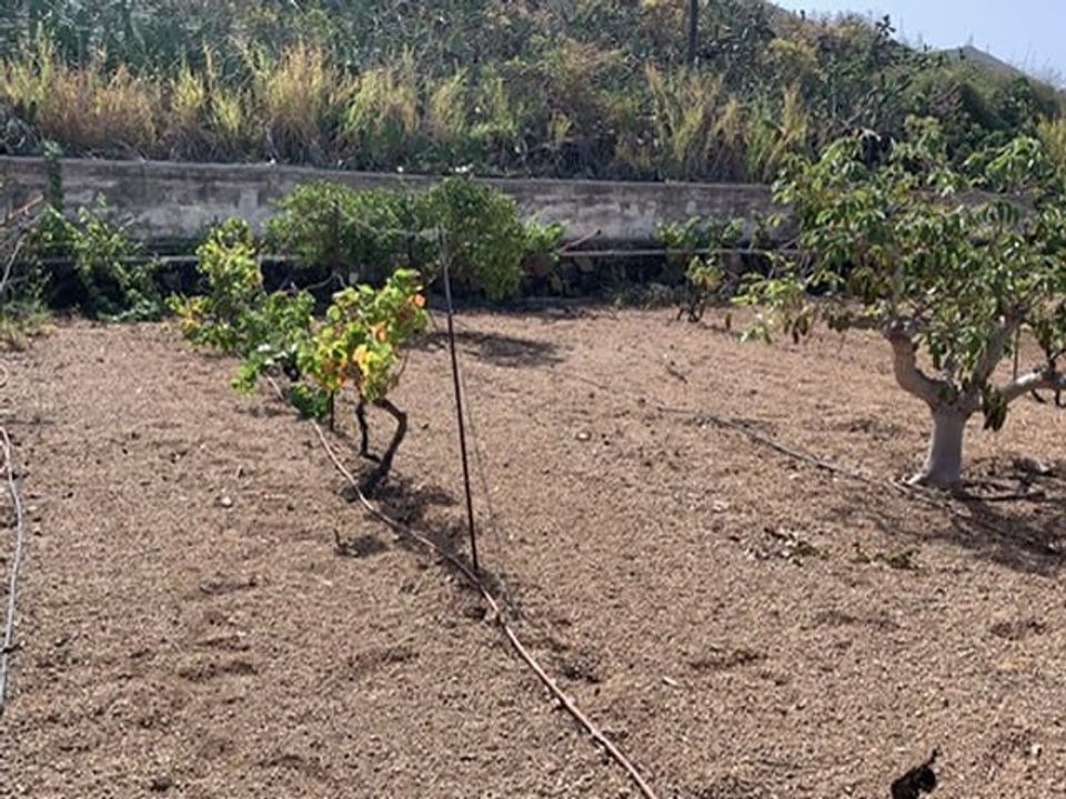 Helårsgrund i Valle De San Lorenzo, Tenerife - foto 3
