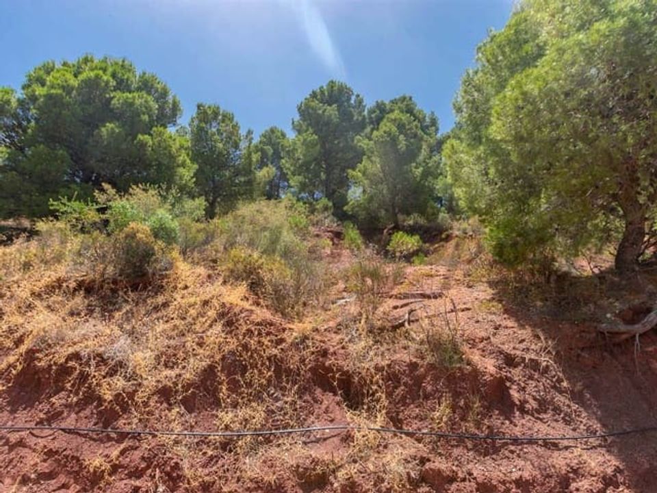 Helårsgrund i Ardales, Malaga - foto 3