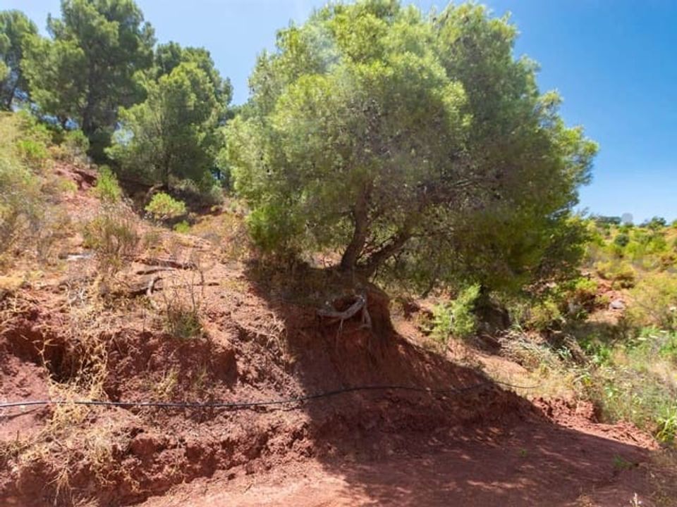 Helårsgrund i Ardales, Malaga - foto 4