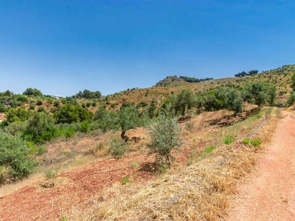 Helårsgrund i Ardales, Malaga - foto 5