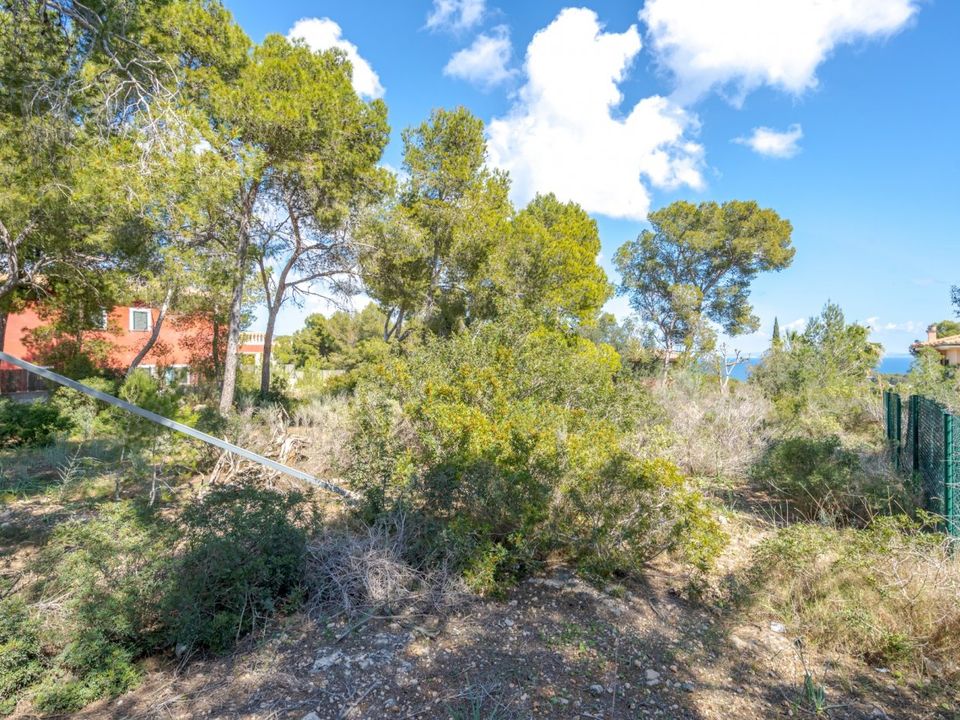 Villa i Calvia, Mallorca - foto 4