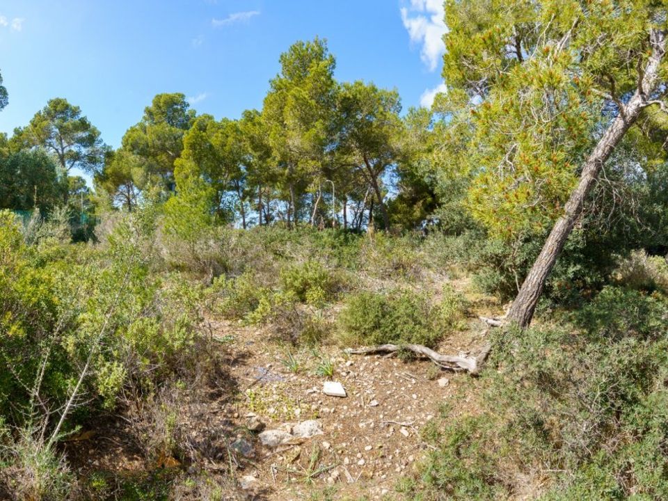Villa i Calvia, Mallorca - foto 5