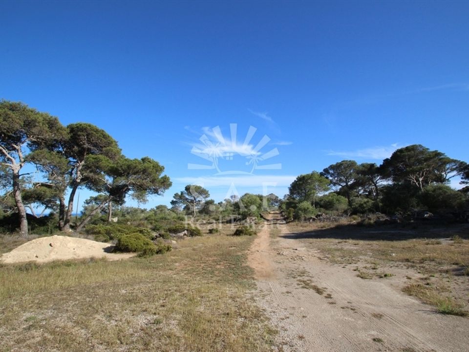 Erhvervsejendom i Cala Pi, Mallorca - foto 3