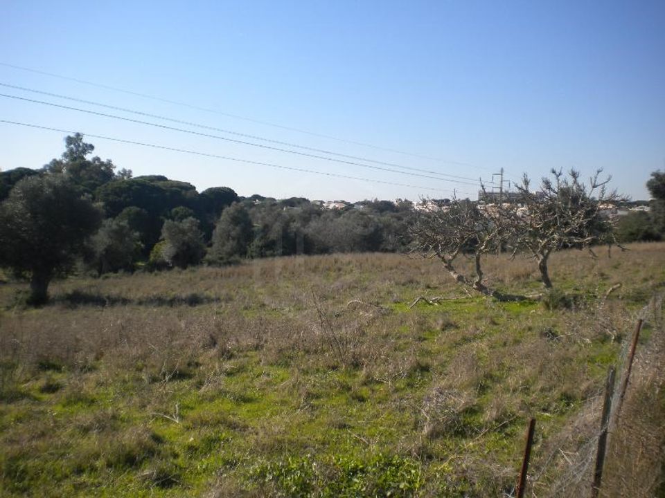 Granja a Albufeira, Faro - foto 4