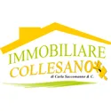 Immobiliare Collesano S.a.s. di Carla Saccomanno & C.