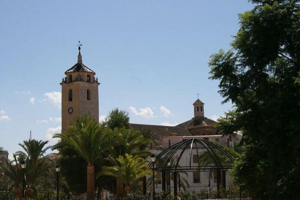 Plaza Mayor gardens in Albox.jpeg